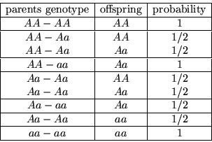 Understanding The Significance Of Aa Genotype In Genetics