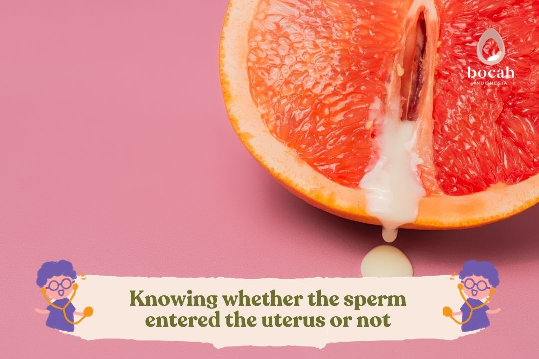 Unveiling The Sensations When Sperm Enters The Female Body