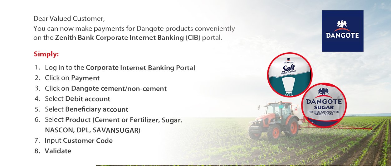 Maximizing Efficiency With Zenith Corporate Internet Banking