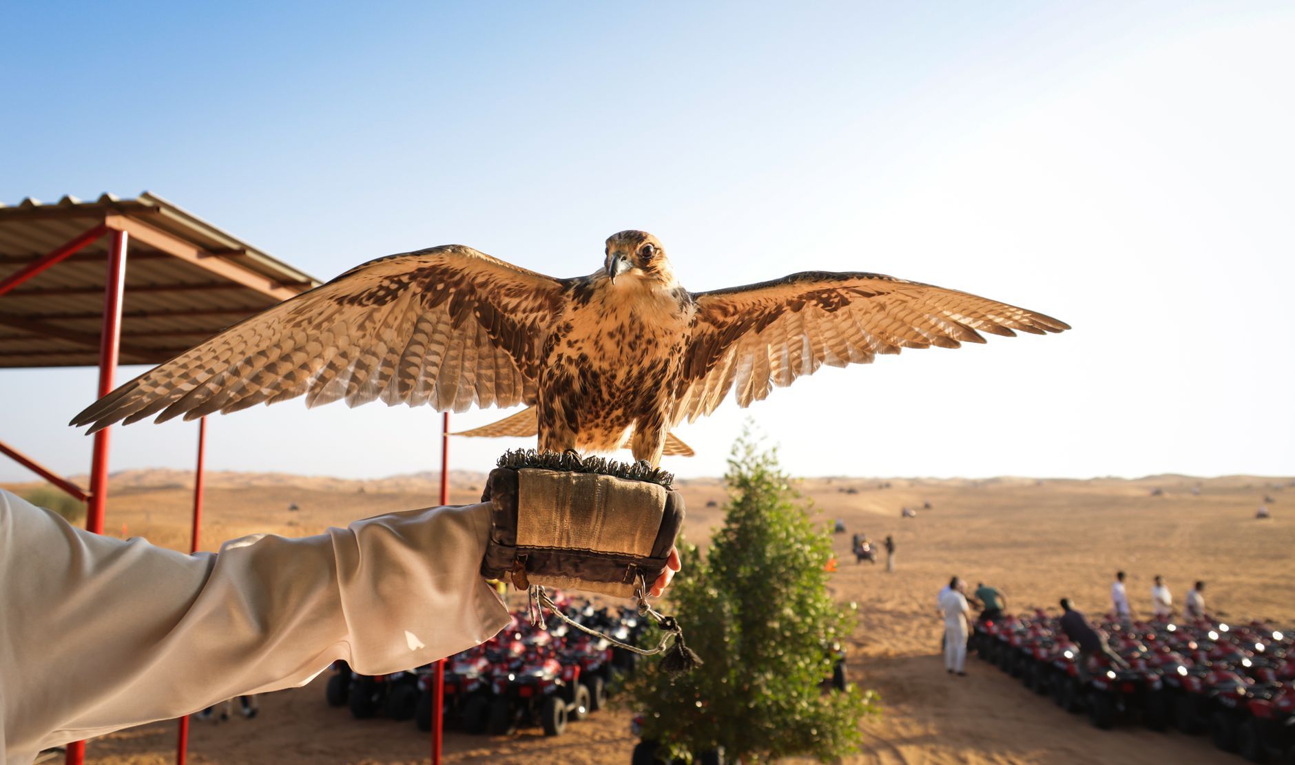 Falcon Energy Materials: Proven Strategy for Acquisition Success